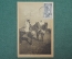 Колониальная открытка фотография. Воины на лошадях. Марокко."Cavaliers Marocains"