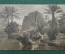 Колониальная открытка фотография. На берегу реки. Алжир."Scenes Algeriennes - Au Bord d'un Oued"