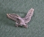 Брелок медальон "Орел птица". Серебро 925 проба. США. Америка.