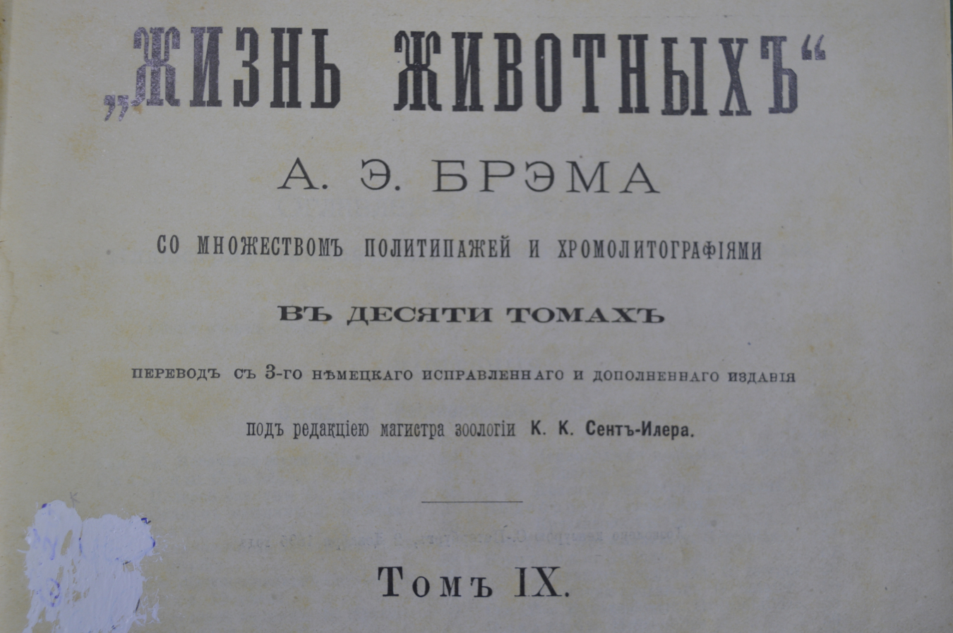 Купить Книга "Жизнь животных". Том IX. Насекомые, многоногие ...