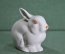 Статуэтка, фигурка фарфоровая "Заяц, зайчик, кролик" #1. Фарфор, Полонне. 