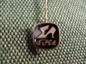 Значок франчик  