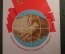 Открытка "1 мая - День международной солидарности трудящихся". Подписанная. 1976 год.