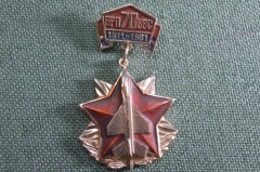 Знак, значок "АРП ВВС, 70 лет, 1911-1981". Авиация. Авиационное ремонтное предприятие, Одесса