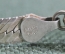 Цепочка широкая серебряная, плетение. Серебро 925 пробы. Milor, Италия.