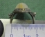 Кольцо серебряное, колечко с камнем. Нефрит, природный камень. Серебро 916 пробы.