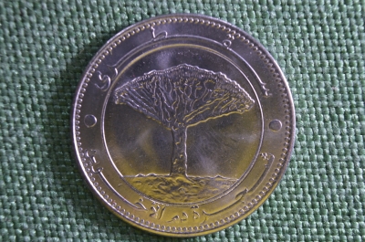 Монета 20 риалов, Йемен, 2006 год. Дерево. 20 rials, Central bank of Yemen.