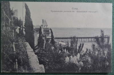 Открытка старинная "Тропические растения в Кавказской Ривьере". Сочи, Кавказ. Росс. Империя. #O9