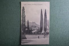 Открытка старинная "Алупка. Кипарисы Потемкина и Екатерины. Крым". Николич. Росс. Империя. #O9