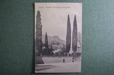 Открытка старинная "Алупка. Кипарисы Потемкина и Екатерины. Крым". Николич. Росс. Империя. #O9