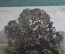 Открытка старинная "Вид на отель, Вальдхаус Флимс". Цветная. Waldhaus Flims. Швейцария. #O3