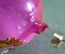 Елочная игрушка, украшение новогоднее "Шар розовый с петухом". 7,3 см.