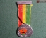 Медаль в честь 75-ти летия Стрелкового общества города Эши, Швейцария, 1964 год. Якорь.