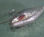 Игрушка елочная стеклянная "Рыба, рыбка серебристая". Стекло, подвес. #2