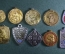 Медали собачьи (10 штук). Выставка, жетон. МГОЛС, БЗС, МЗМ.