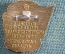 Знак, значок "60 лет Революции, Слава октябрю". Флаг, Аврора. Московская область, 1977 год.