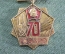 Знак значок "ГОЭЛРО 70 лет". ЛМД. Легкий металл. СССР.