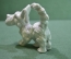 Статуэтка, фигурка фарфоровая "Собака, терьер белый". Фарфор Шаубах, Schaubach Kunst, Германия.