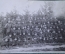 Фотография старинная, групповая "Военные, школа". Фото, фотокарточка. 1934 год.