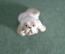 Статуэтка, фигурка фарфоровая "Собака, пекинес". Фарфор, миниатюра. ЛФЗ. #2