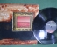 Винил, пластинка 1 lp "Paul van Dyk. Beautiful place. Salt Tank Remix". MFS 1996