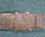 Знак, значок "LX Сессия АМН СССР. Ленинград, 1990 год". Академия Медицинских Наук. ЛМД.