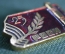 Знак, значок "РВСН, 25 лет.". Ракетные войска стратегического назначения.