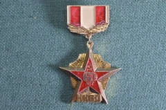 Знак, значок "ККВО, 60 лет, 1919 - 1979 гг.". В коробке. Краснознаменный Киевский Военный Округ. 