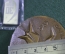 Медаль настольная "Космодром Байконур, XXX 30 лет 1955 - 1985 гг.". Плюс значок стекло ситалл.