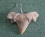 Кулон подвеска "Зуб древней ископаемой акулы" #4