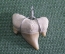 Кулон подвеска "Зуб древней ископаемой акулы" #3