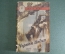Книга "Черная Индия". Жюль Верн. Рисунки Ермолова. Детгиз, 1945 год.