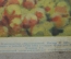 Советский плакат "В школьном саду". Наглядное учебное пособие для 3-4 классов. 1965 г. СССР.