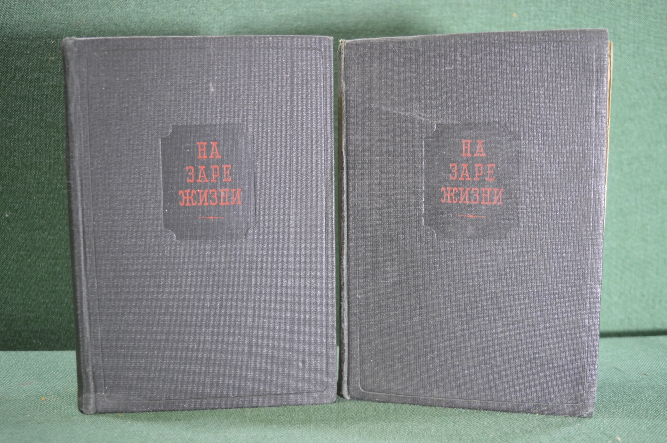 Купить Книги "На заре жизни. Е.Н. Водовозова" (2 тома). Академия, 1934 ...