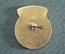 Знак значок "РПТ Первомайский". Торговля. Райпищеторг. СССР.
