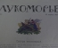 Журнал "Лукоморье". Первая Мировая Война. Карты, юмор, рисунки, статьи. N 17 от 25 апреля 1915 года