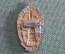 Знак, значок "Хабаровск, 100 лет, 1858 - 1958 гг". Тяжелый металл, эмали. СССР.
