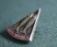 Знак, значок "День рыбака". СССР.