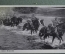 Открытка "Переход вброд реки". Армия. Вермахт, Третий рейх. Вторая Мировая Война. 1940 год.