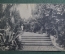 Открытка старинная "Сочи. Парк Ривьеры". Почтовая карточка. Изд. Кореневич, 1926 год. #O8