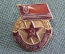 Знак, значок "Инструктор ДОСААФ". Тяжелый металл, эмали. ММД.