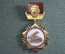 Знак значок "Ветерану Гвардейских минометных частей". Тяжелый металл. Эмаль. ММД. СССР.