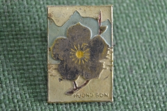 Знак, значок "Цветок сакуры". huong son. Вьетнам. 