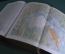 Книга старинная, Словарь Мейера. Meyers Lexikon, отдельный том. Масса иллюстраций 1908 - 1909 гг. #1