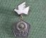 Знак, значок, запуск станции «Луна-2». СССР. Подвесной.