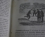 Книга "Игры для подростков". Улица, дом. Множество иллюстраций. Париж, 1866 год. На французском.