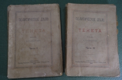 Книга "Политическое дело. Тенета", роман Тхоржевского (двухтомник). Тип. Общественная польза 1885 г.