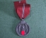 Награда, медаль "За зимнюю кампанию на Востоке 1941 / 1942" (мороженое мясо). 3 -й Рейх, Германия