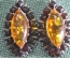 Серьги серебряные. Вставки янтарь? Серебро 925 проба. ЛФВД. #U