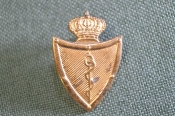 Кокарда полковая знак военно-медицинского полка Королевских ВС. На берет. Медицина. Бельгия.
